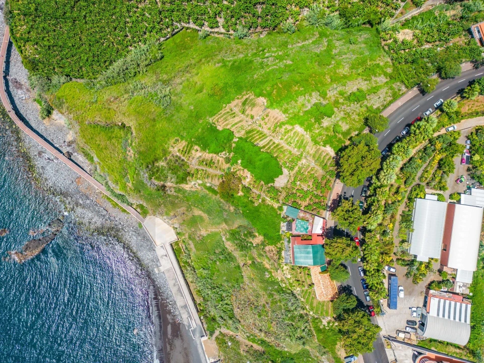 Terreno para Venda em São Martinho Foto 1