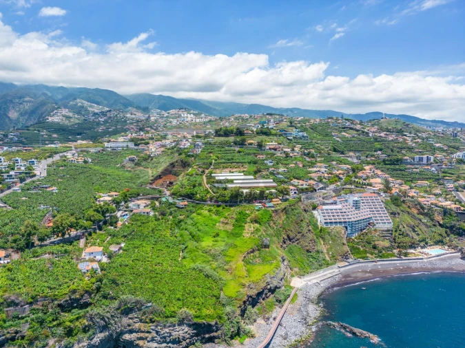 Terreno para Venda em São Martinho Foto 16