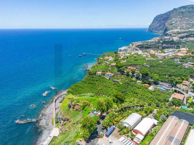 Terreno para Venda em São Martinho Foto 20