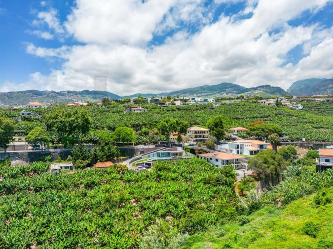 Terreno para Venda em São Martinho Foto 26