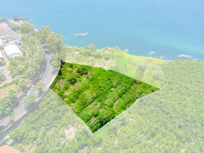 Terreno para Venda em São Martinho Foto 10