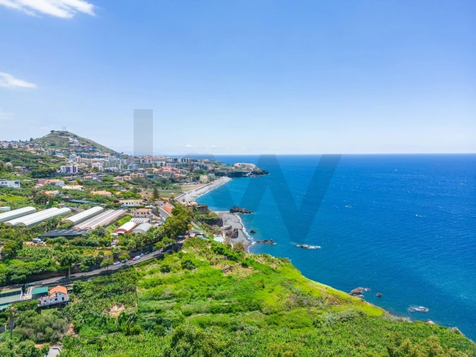 Terreno para Venda em São Martinho Foto 13