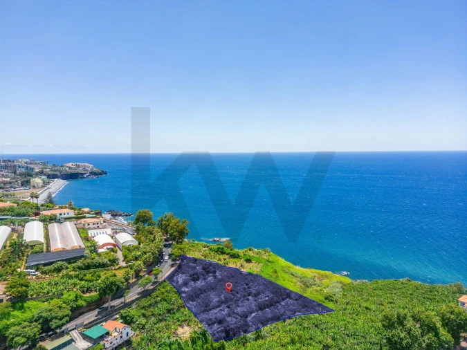 Terreno para Venda em São Martinho Foto 12