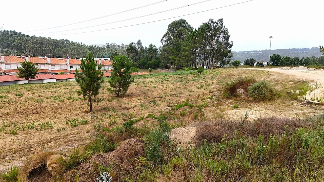 Terreno para Venda em Pinheiro da Bemposta, Travanca e Palmaz Foto 16