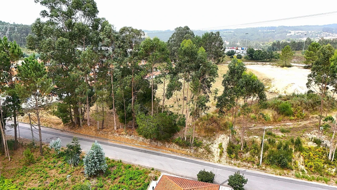 Terreno para Venda em Pinheiro da Bemposta, Travanca e Palmaz Foto 9