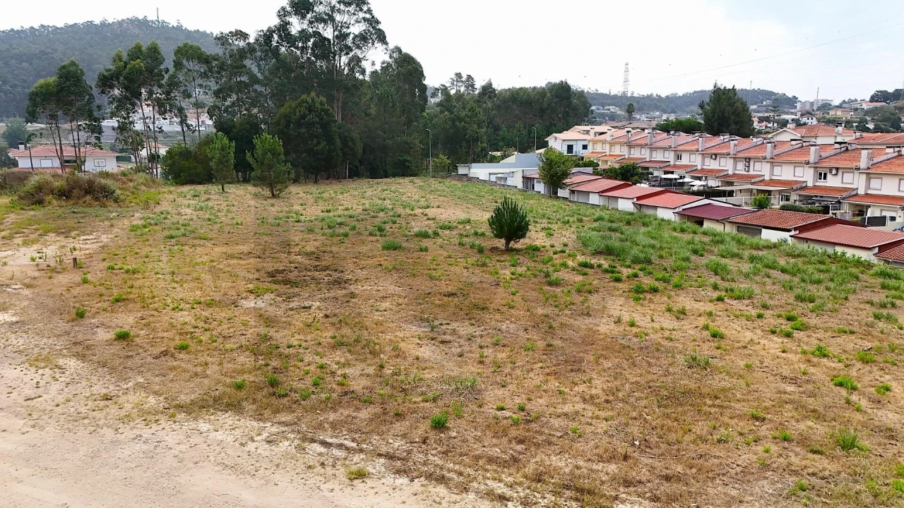 Terreno para Venda em Pinheiro da Bemposta, Travanca e Palmaz Foto 12