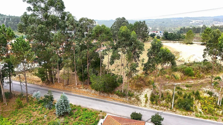 Terreno para Venda em Pinheiro da Bemposta, Travanca e Palmaz Foto 9