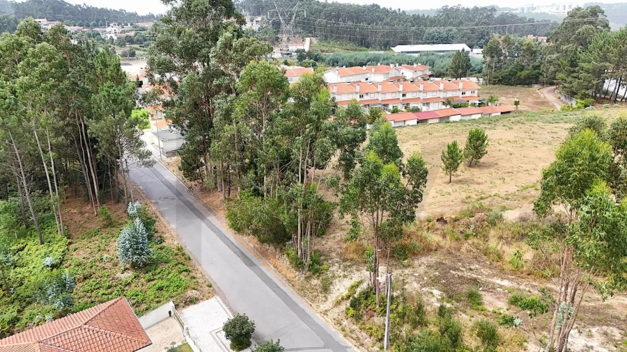 Terreno para Venda em Pinheiro da Bemposta, Travanca e Palmaz Foto 7