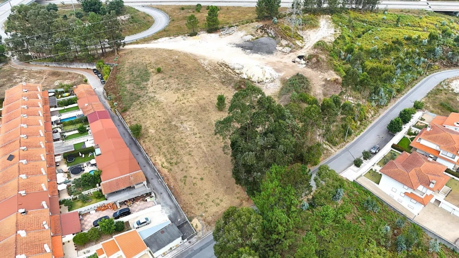 Terreno para Venda em Pinheiro da Bemposta, Travanca e Palmaz Foto 2