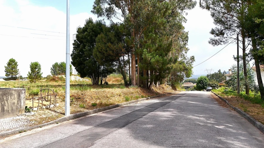 Terreno para Venda em Pinheiro da Bemposta, Travanca e Palmaz Foto 14