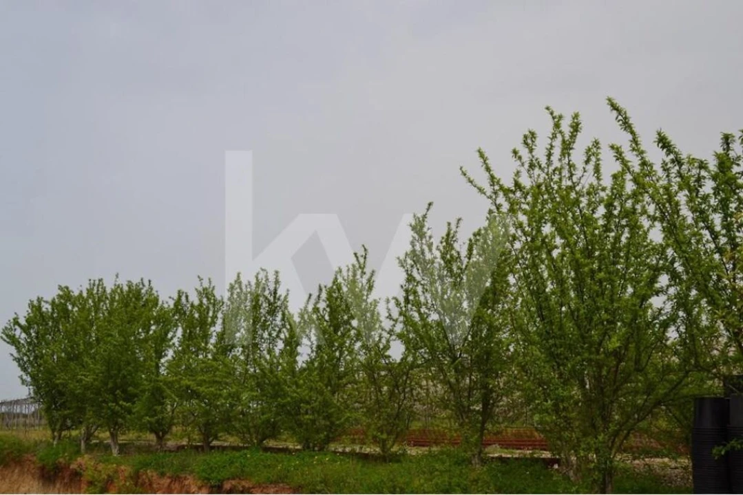 Terreno para Venda em Ladoeiro Foto 78