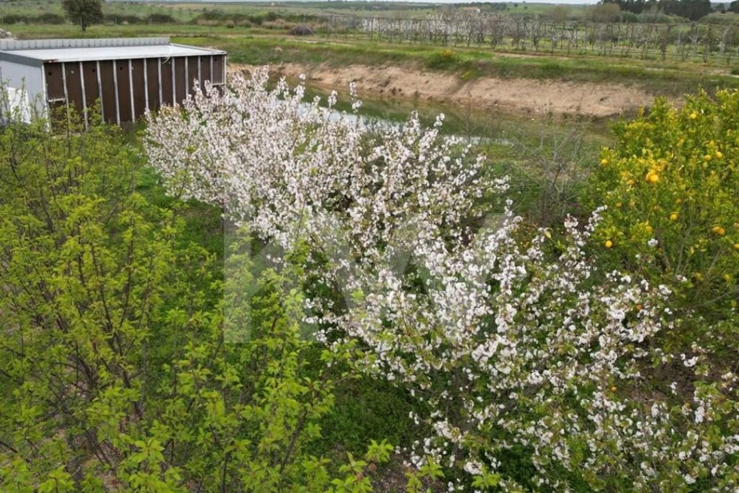 Terreno para Venda em Ladoeiro Foto 100