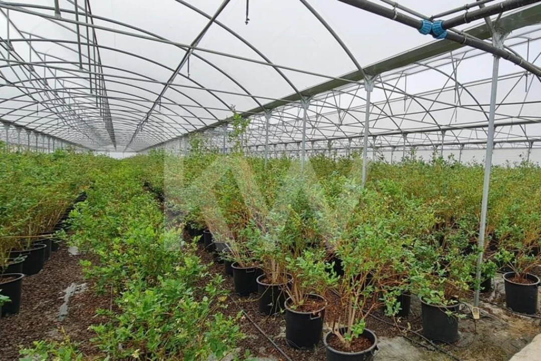 Terreno para Venda em Ladoeiro Foto 57