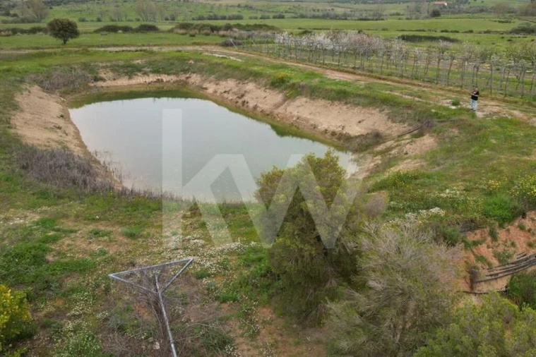 Terreno para Venda em Ladoeiro Foto 101