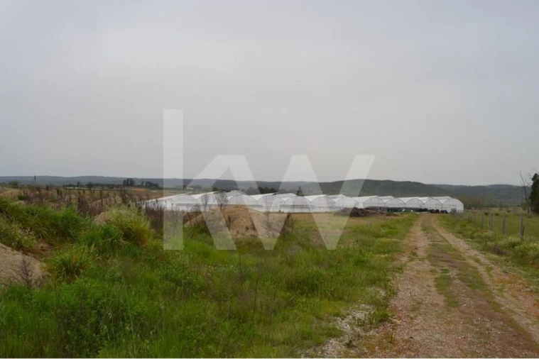 Terreno para Venda em Ladoeiro Foto 89