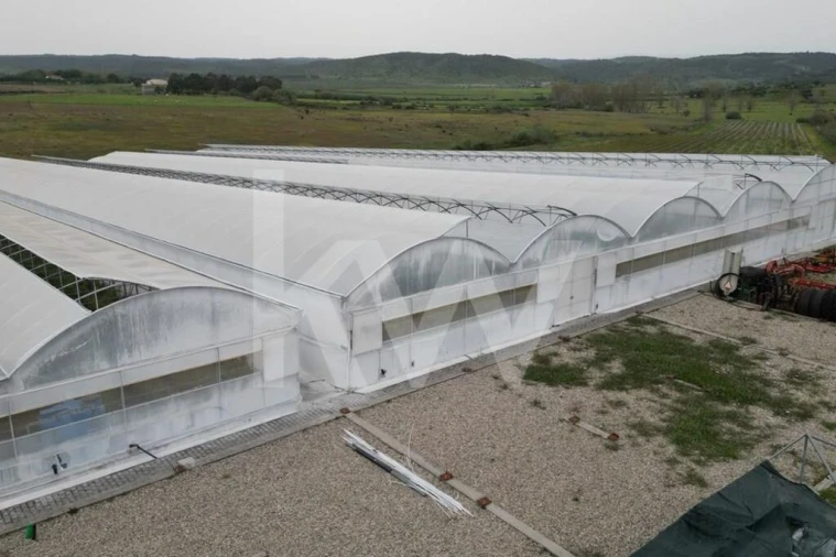 Terreno para Venda em Ladoeiro Foto 97