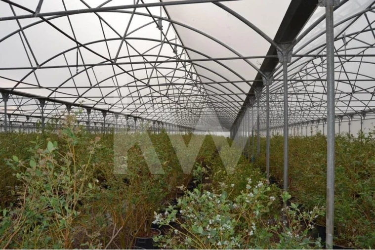 Terreno para Venda em Ladoeiro Foto 92