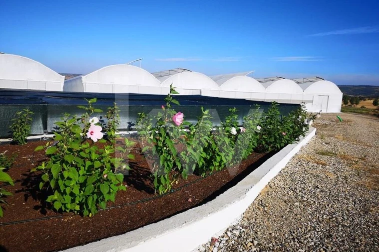 Terreno para Venda em Ladoeiro Foto 13