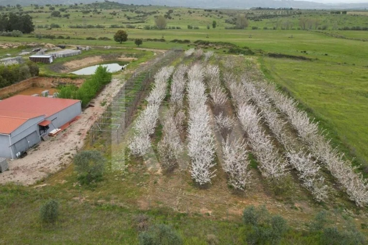 Terreno para Venda em Ladoeiro Foto 106