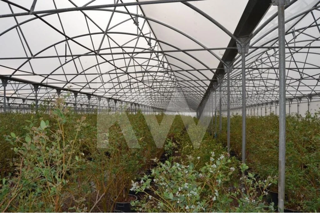 Terreno para Venda em Ladoeiro Foto 92