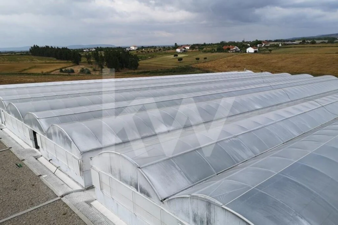 Terreno para Venda em Ladoeiro Foto 11