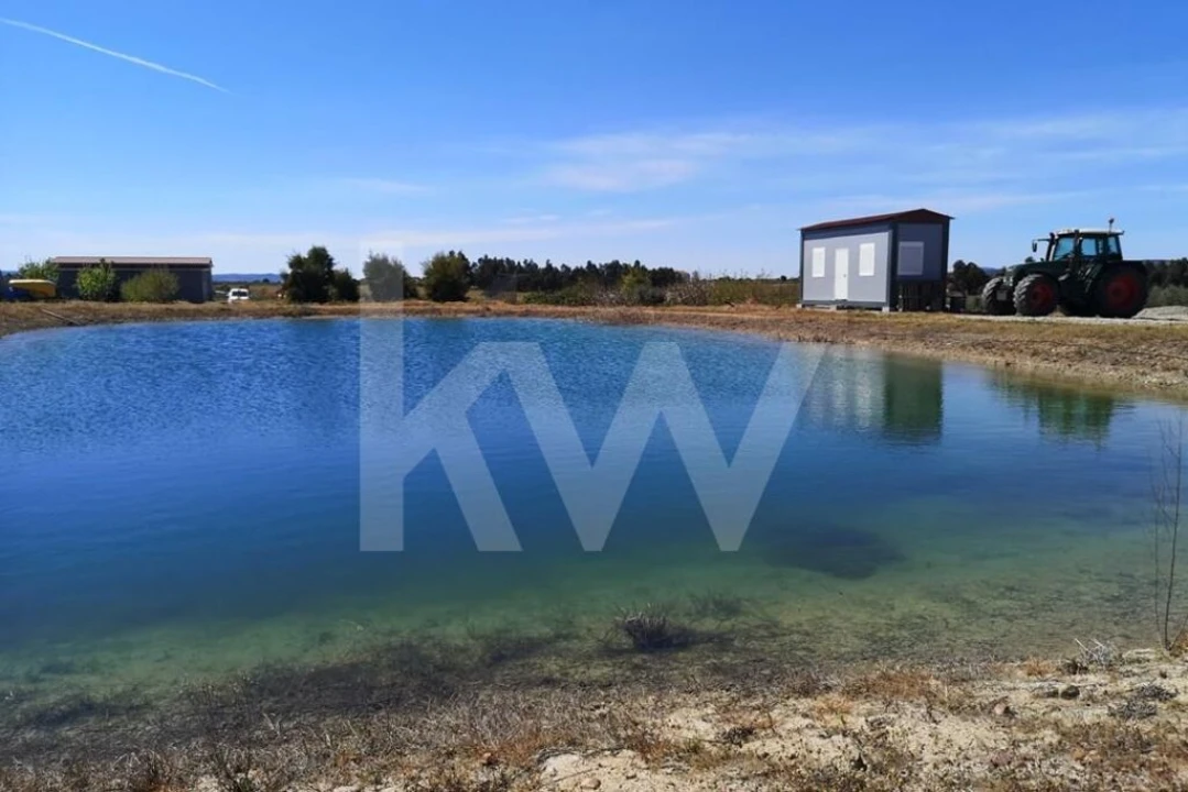 Terreno para Venda em Ladoeiro Foto 3