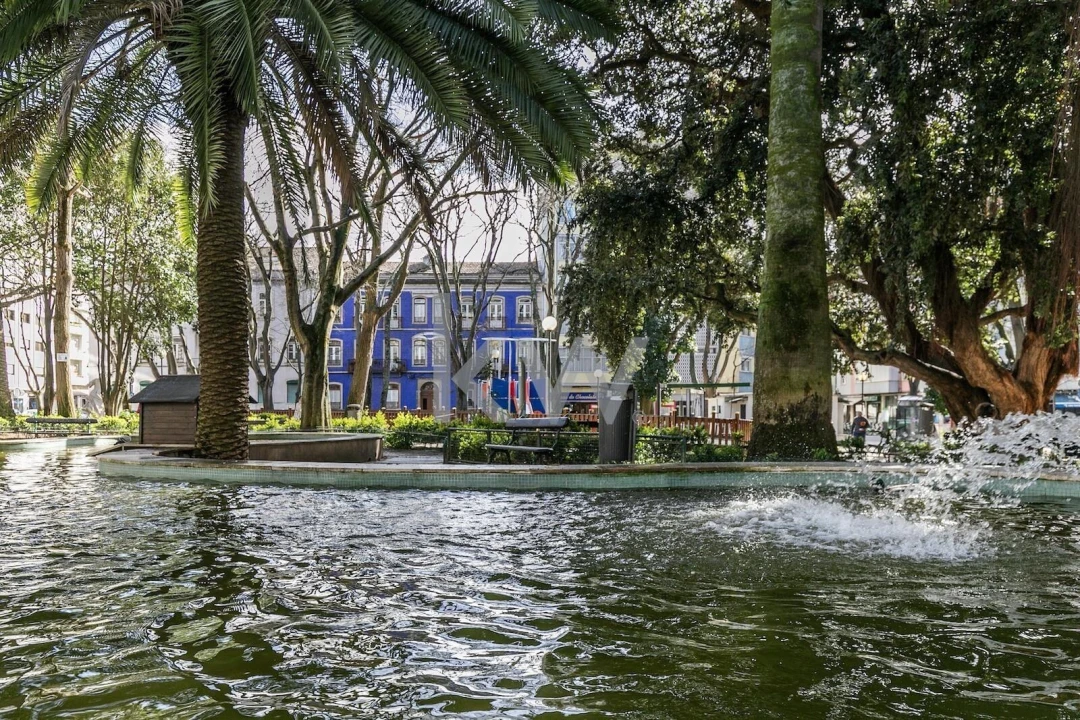Loja para Venda em Campo de Ourique Foto 23