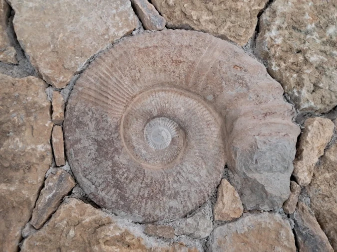 Moradia T5 para Venda em Igreja Nova e Cheleiros Foto 12