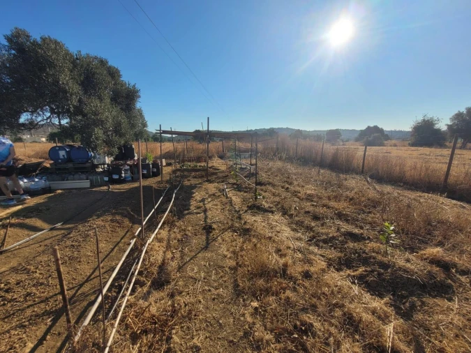 Terreno para Venda em Algoz e Tunes Foto 11