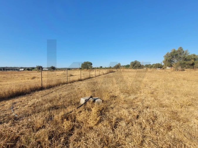 Terreno para Venda em Algoz e Tunes Foto 14