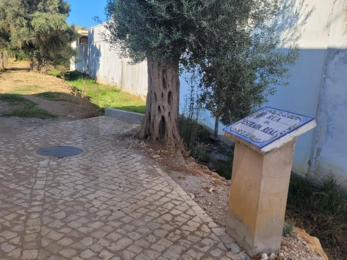 Terreno para Venda em Algoz e Tunes Foto 5