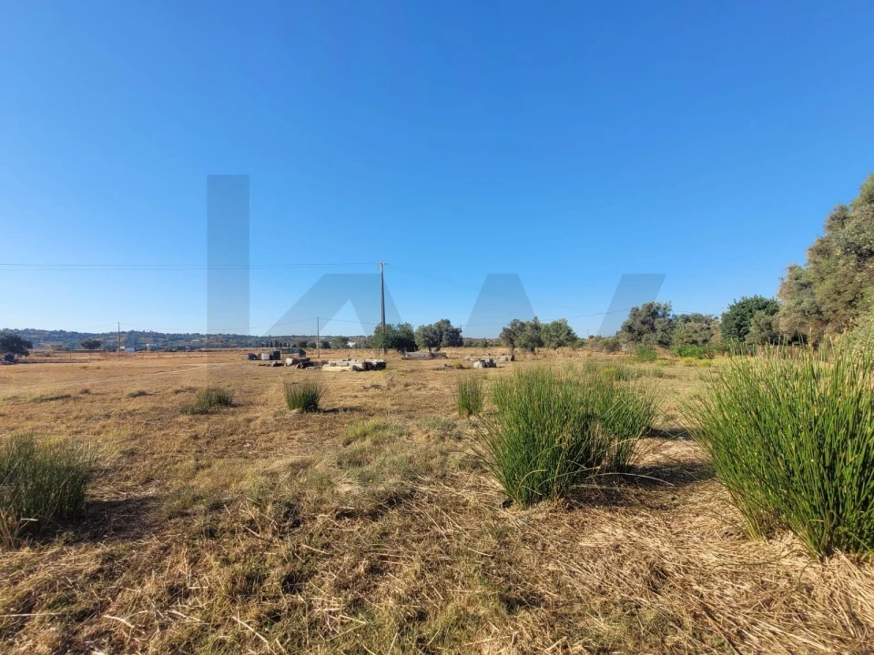 Terreno para Venda em Algoz e Tunes Foto 20