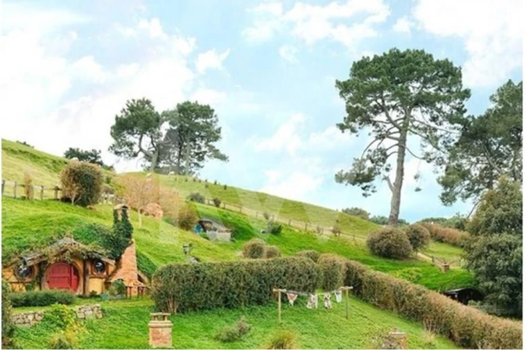 Terreno para Venda em Abela Foto 13