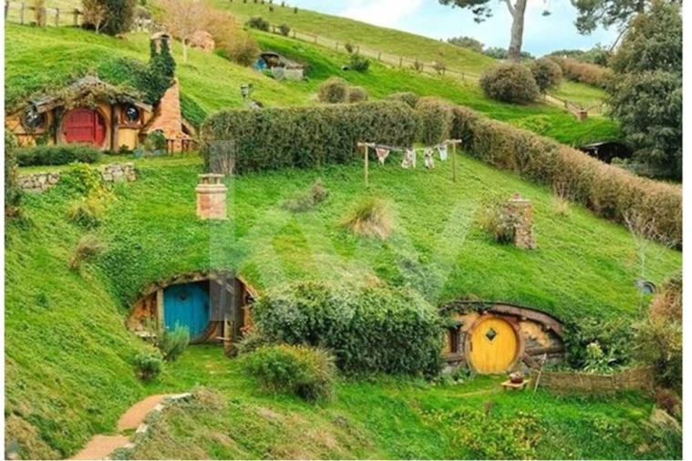 Terreno para Venda em Abela Foto 14