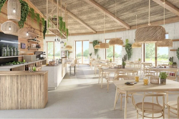 Terreno para Venda em Abela Foto 8