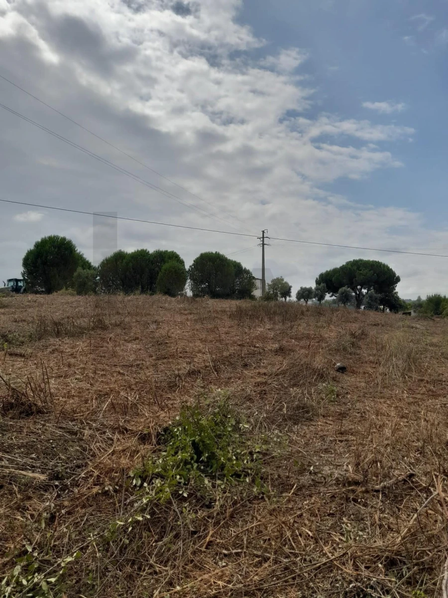 Terreno para Venda em Cartaxo e Vale da Pinta Foto 10