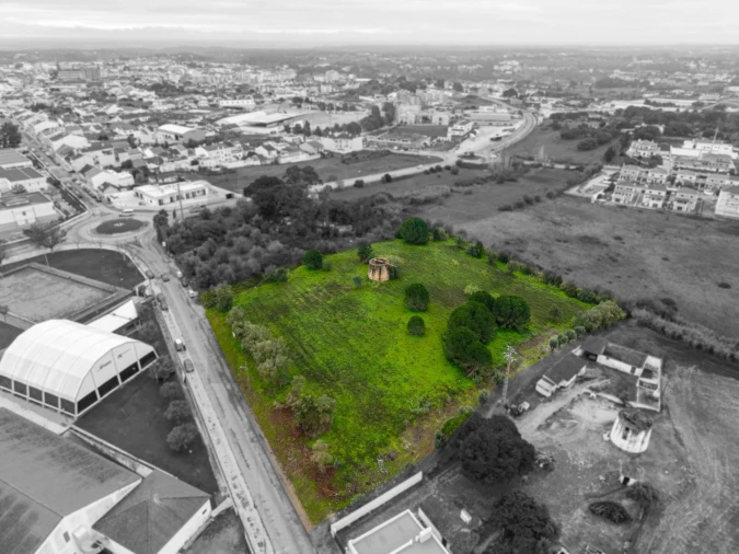 Terreno para Venda em Cartaxo e Vale da Pinta Foto 1