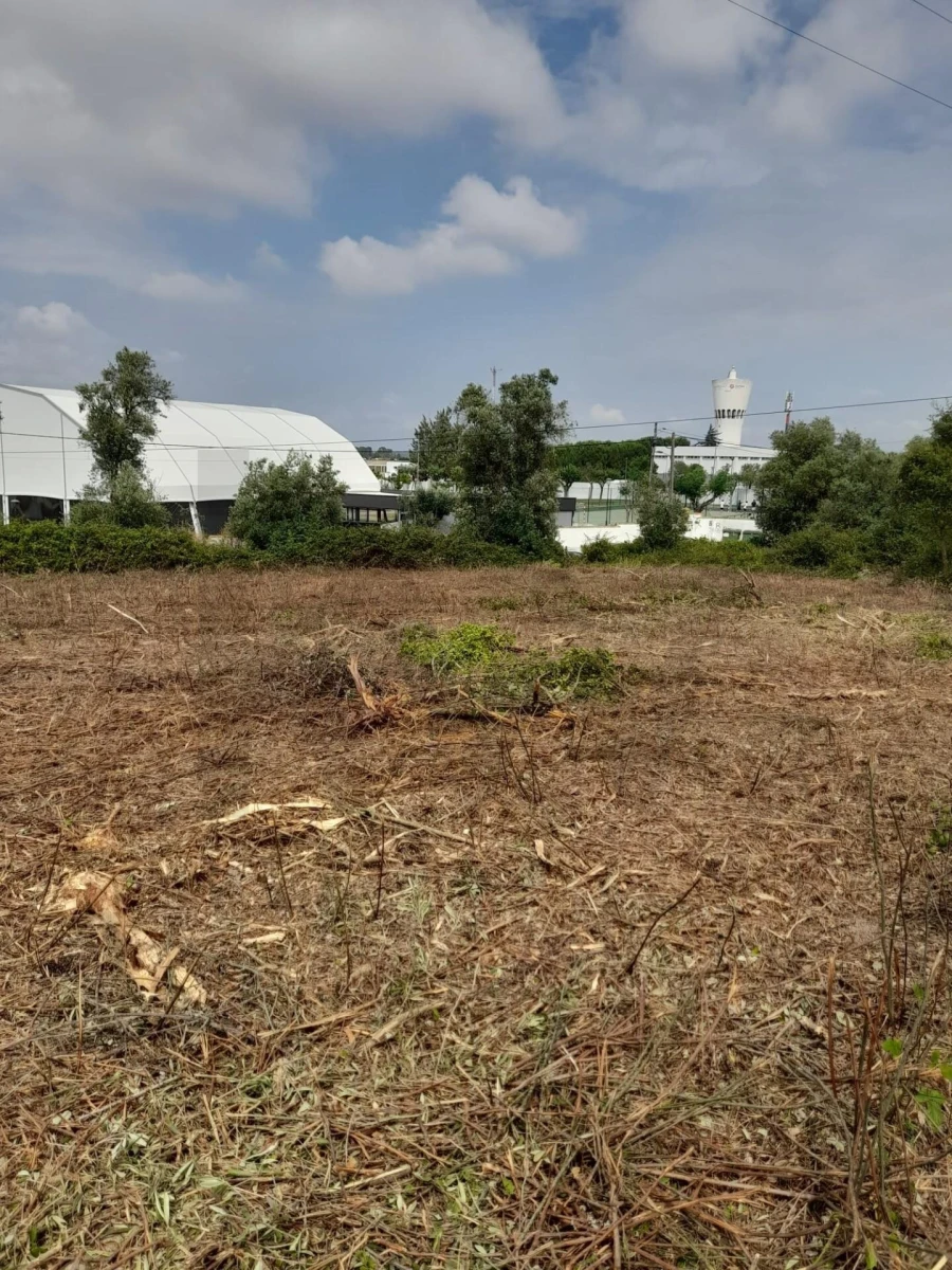 Terreno para Venda em Cartaxo e Vale da Pinta Foto 7