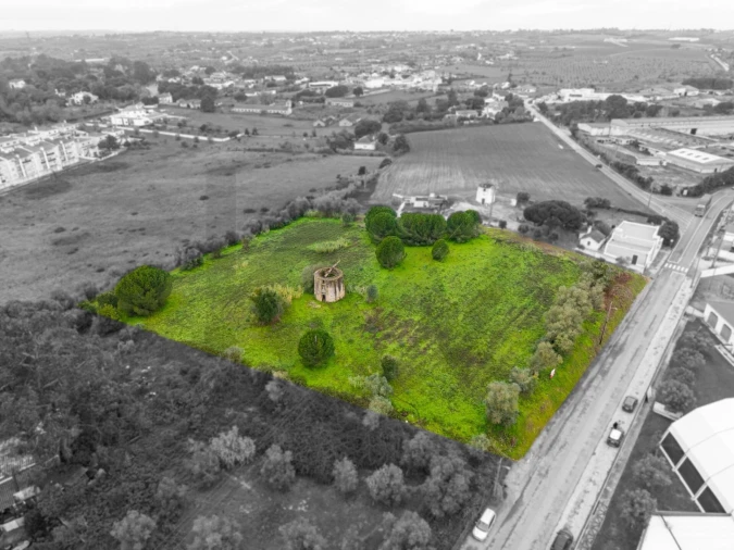 Terreno para Venda em Cartaxo e Vale da Pinta Foto 11