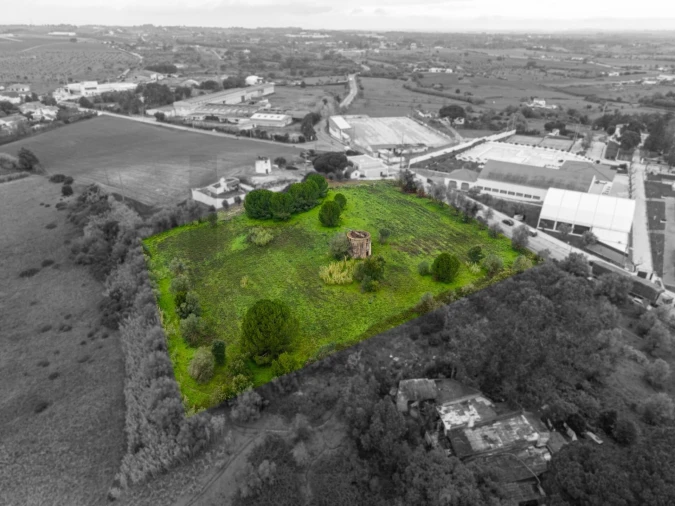 Terreno para Venda em Cartaxo e Vale da Pinta Foto 14