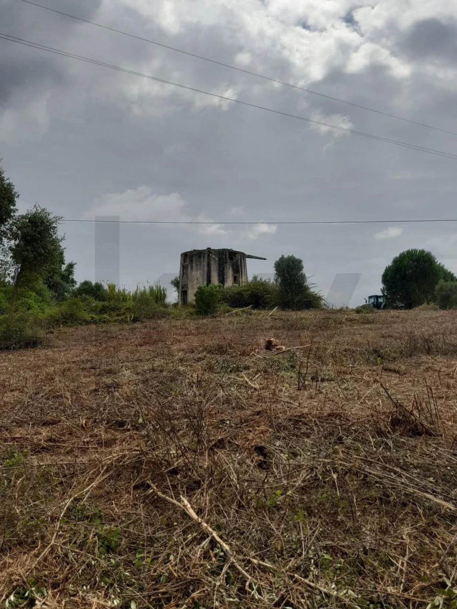 Terreno para Venda em Cartaxo e Vale da Pinta Foto 5