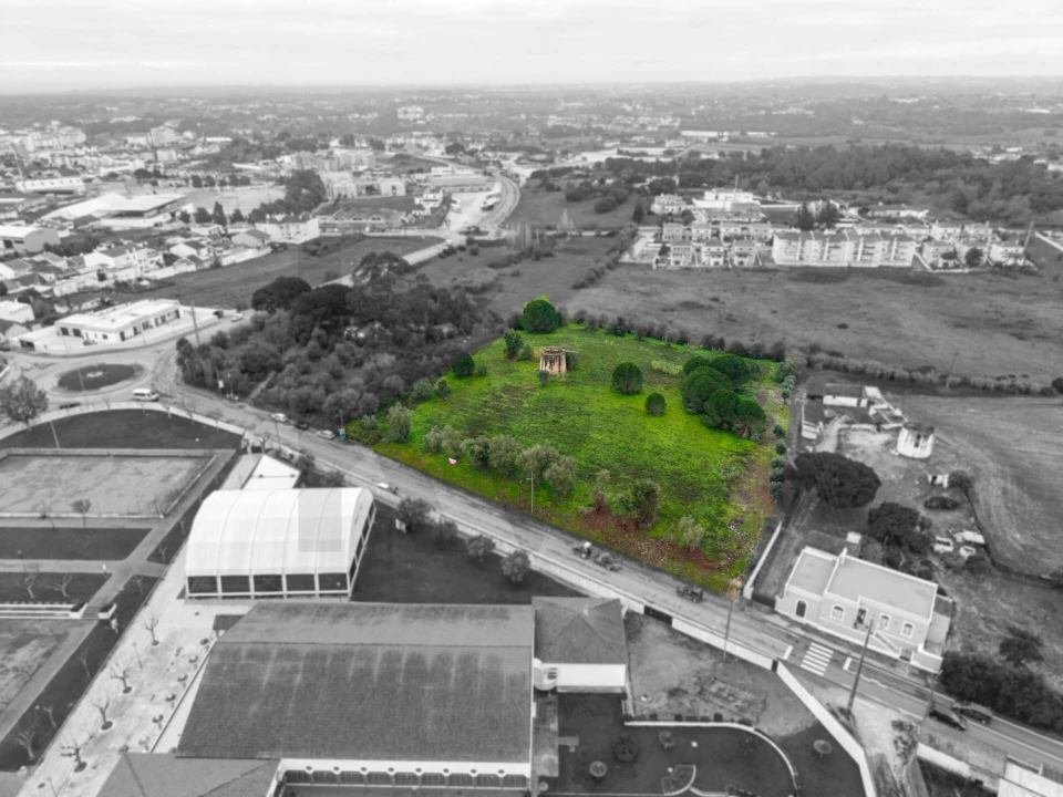 Terreno para Venda em Cartaxo e Vale da Pinta Foto 3