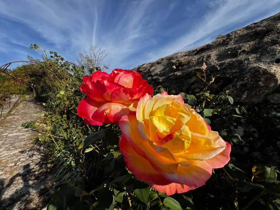 Moradia T5 para Venda em Alvaiázere Foto 101