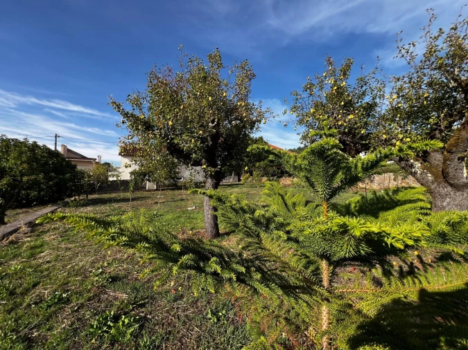 Moradia T5 para Venda em Alvaiázere Foto 100