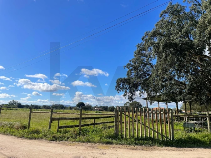 Terreno para Venda em Pinhal Novo Foto 4