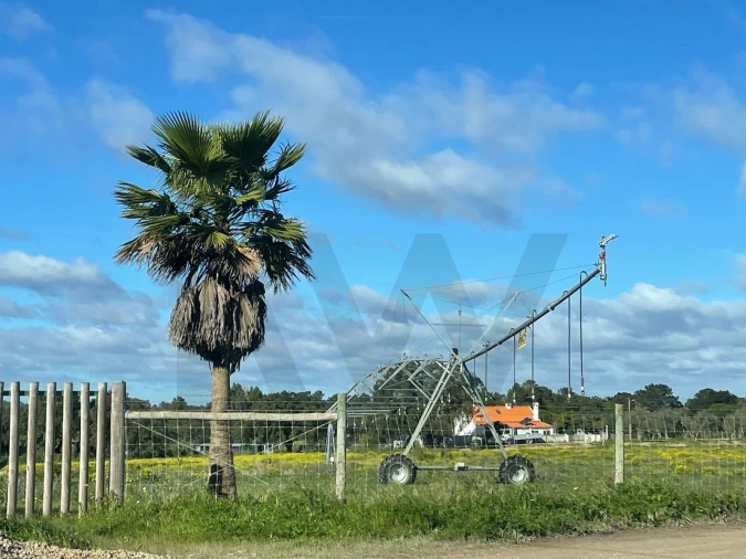 Terreno para Venda em Pinhal Novo Foto 8