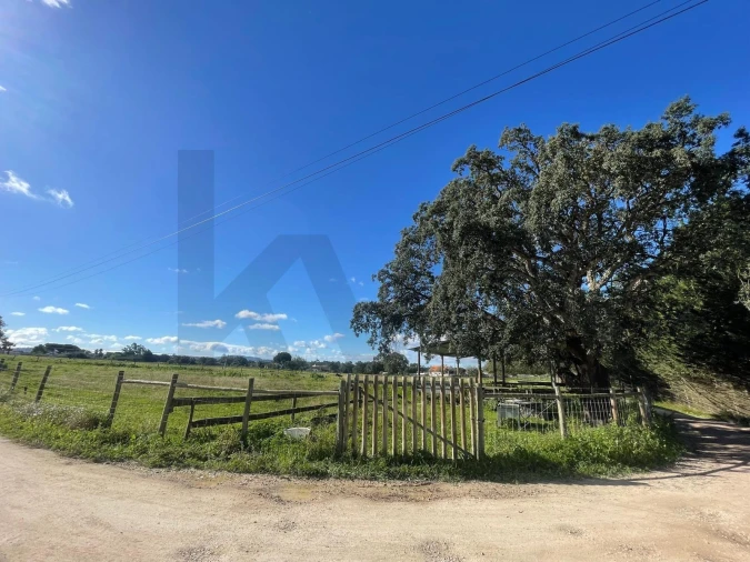 Terreno para Venda em Pinhal Novo Foto 2