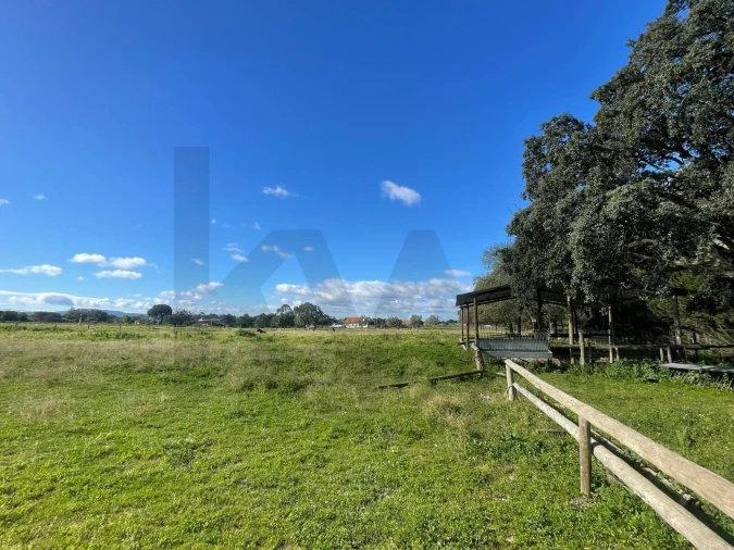 Terreno para Venda em Pinhal Novo Foto 3