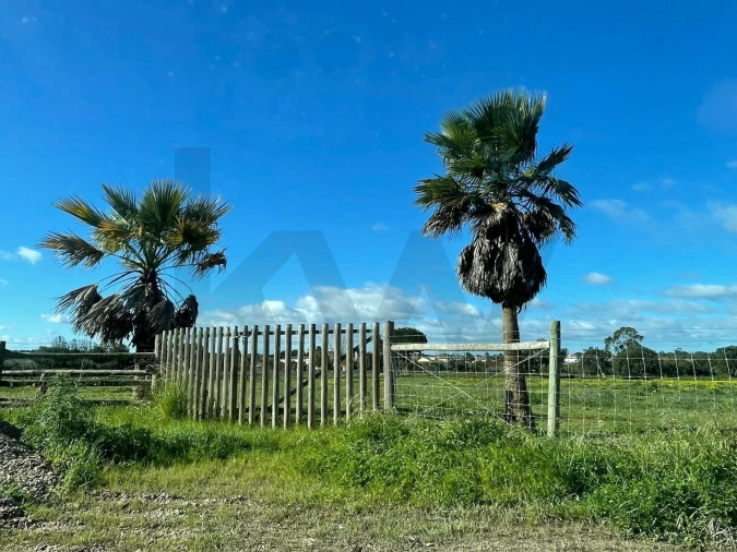 Terreno para Venda em Pinhal Novo Foto 7