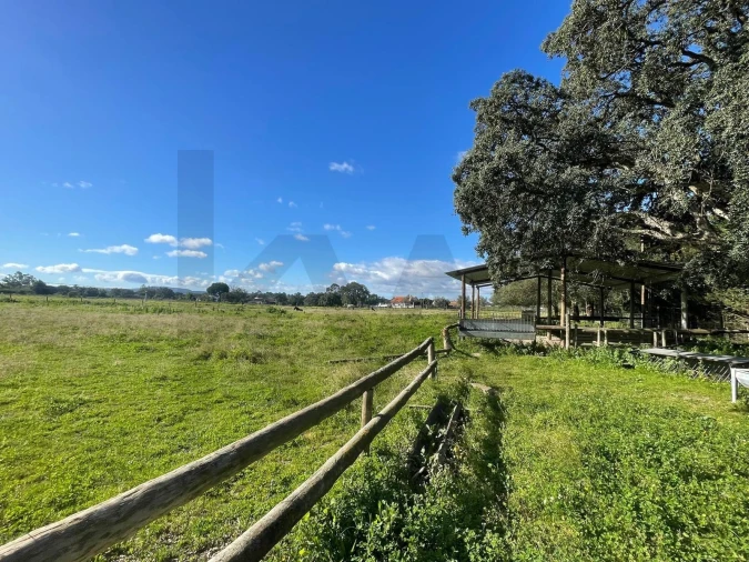 Terreno para Venda em Pinhal Novo Foto 1